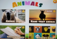 Animals Educational Game